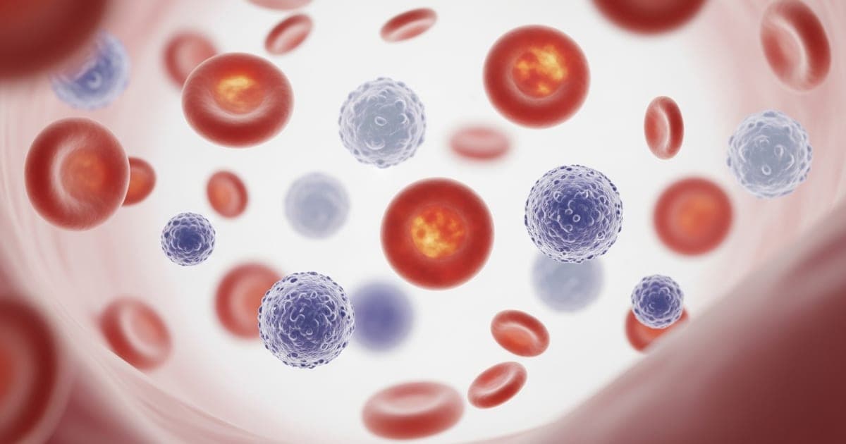 NRBC Blood Test: What Does a High NRBC Count Mean?